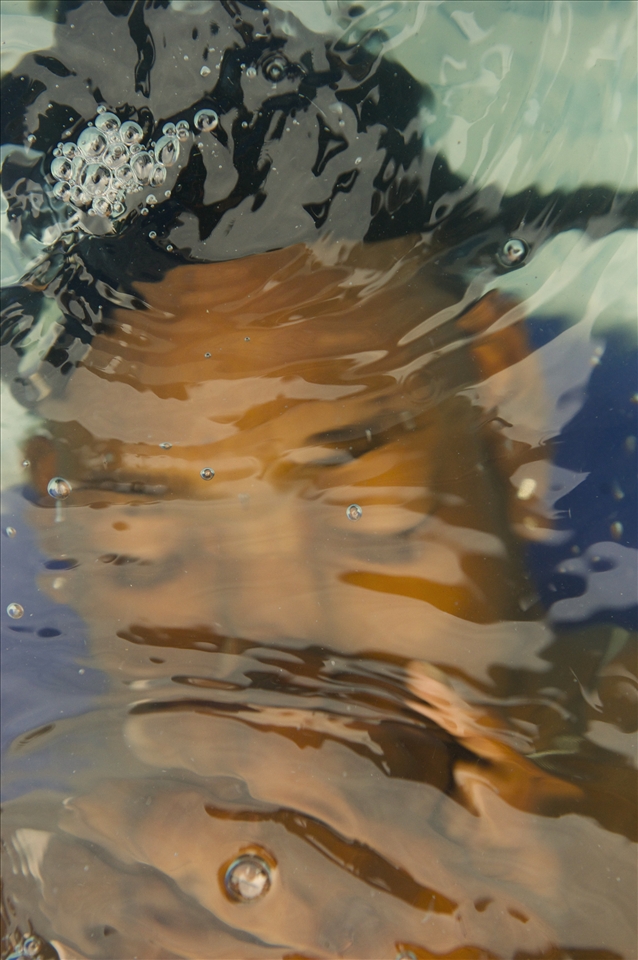 Ice Cold Water. The sport is played at -10° and the men have never seen snow.