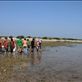Exploring the beach during low tide to learn about marine life : by rajal, Views[161]