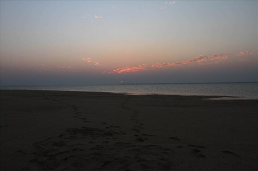 Leave nothing but Foot Prints