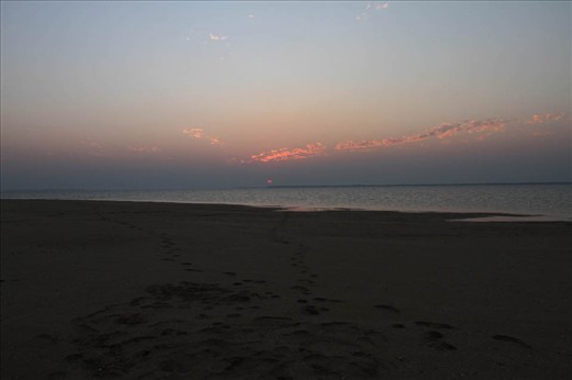 pic 5
Leave NOTHING but foot prints