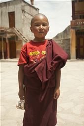 Meet Jampa, age 10, the youngest monk at Thikse. After his father’s death in a road accident, his mother couldn’t afford his studies and thus started his journey as Buddhist monk. He loves to play football and before coming here he wanted to be a pilot, now he wants to become a spiritual leader and teacher. His English speaking abilities made me connect with him instantly. What is Buddhism for you I asked, “A state of being happy and satisfied”, he said. it sounded like a well-rehersed reply.: by rajat, Views[624]