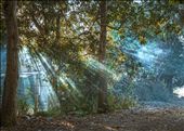 Nature summit in backyard: by rajgadhvisideviews, Views[404]