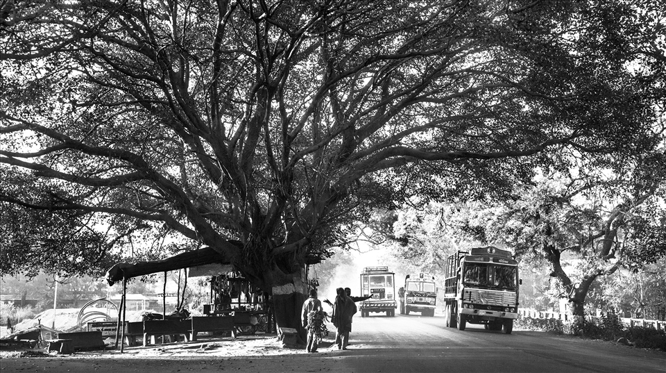 Their journey begins from here