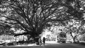 Their journey begins from here: by rajgadhvisideviews, Views[428]