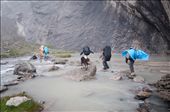 We befriended a shepherd dog on a trekking expedition. He was with us for 12 days on the mountain sharing our food and tent. 

After the dangerous snow and rocky terian Bholu enjoying a leisure walk in the meadows and crossing a shallow stream.: by rajibghose, Views[925]