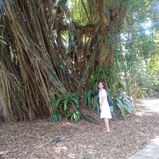 Singapore Botanical Gardens