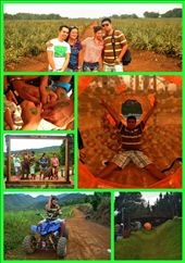 by ralphtasic, Views[111]