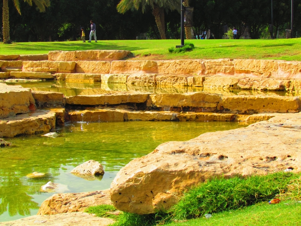 On the same day but a few miles away from the desert scene and lone bird, I came to this place in Riyadh. What a stark contrast! Looks like worlds away!