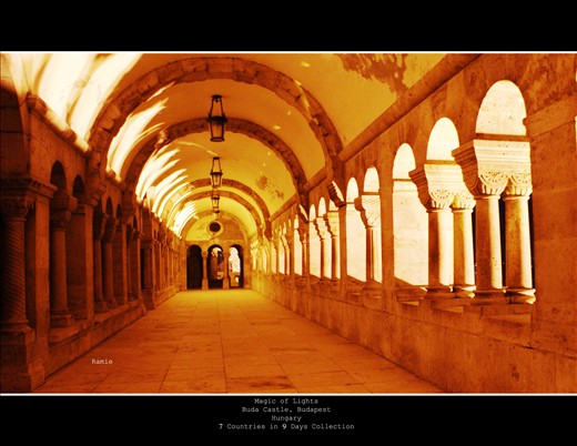 A very difficult picture in the very very cold night