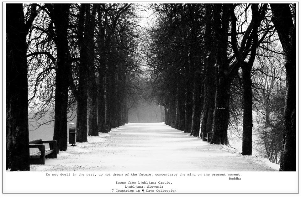 Another wintery picture where I frooze to death