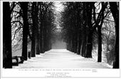 Another wintery picture where I frooze to death: by rammie, Views[338]
