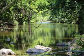 The Swim: by rammy, Views[211]
