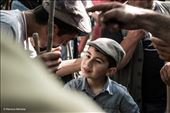 An herdsman caresses his son during the rite.: by ramonamendola, Views[233]