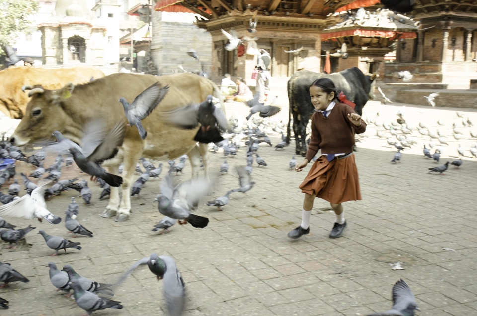 Without access to modern technology, Nepalese children still find joy in simpler pastimes such as chasing pidgeons in the local durbar square after school.