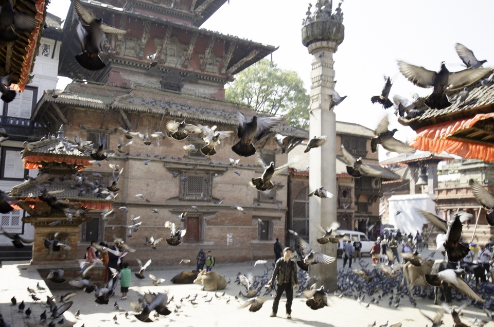 Rates of poverty have been decreasing over the years and one of the reasons is because of tourists - such as this one in Kathmandhu's durbar square - who have become a vital source of income to the country, bringing in a constant cashflow to otherwise impoverished Nepalese.