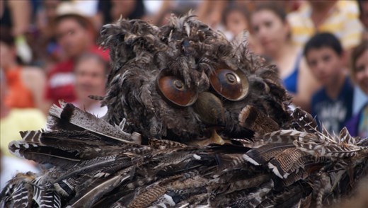 Owl: The messenger. The communicator between deities and religious leaders.