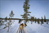 A taste of sapmi traditional way of transportation: by randomtraveler, Views[378]