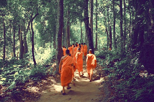 Tibetan monks in search of the same secret forest waterfall as we are.