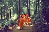 Tibetan monks in search of the same secret forest waterfall as we are.: by randypmartin, Views[208]