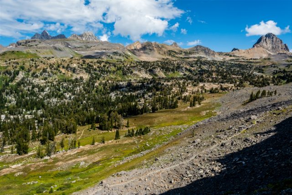 Out here, where there are no roads, is where you would normally expect to see wildlife, such as bears. After hiking along the entire, 40 mile long, Teton Crest Trail in four days in the backcountry, not a single bear was seen. Are we somehow enticing our bears to choose the roadsides instead, where they are so much less safe? 