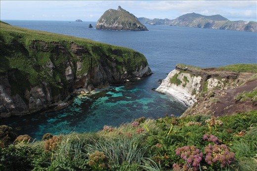 The view from the southwest point of Campbell Island, a small island in the New Zealand Sub-Antarctic.  Rats were eradicated here xx years ago and megaherbs, like those in the foreground flourish.  The island is the breeding ground for 6 albatross species, 2 penguins species, along with other seabirds, endemic land birds and the endangered New Zealand Sea Lion. As a biologist it was my home for four months, while studying the at-sea movements of albatrosses using miniature GPS data loggers. 