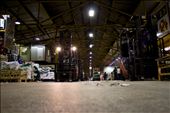 inside busy Spitalfields Market: by raphael-pbr, Views[308]