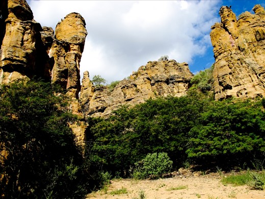 Raso da Catarina is one of the driest places in Bahia, Brazil. It hardly ever rains there and, when it does, it's vegetation automatically becomes green.
It is so hostile that it was used as a refuge by Brazilian outlaws that lived in the Northeast of the country during the first half of the 1900th century: the so called 
