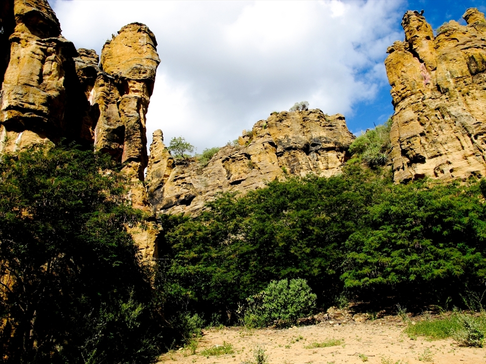 Raso da Catarina is one of the driest places in Bahia, Brazil. It hardly ever rains there and, when it does, it's vegetation automatically becomes green.
It is so hostile that it was used as a refuge by Brazilian outlaws that lived in the Northeast of the country during the first half of the 1900th century: the so called 