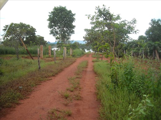 The road to Paradise!