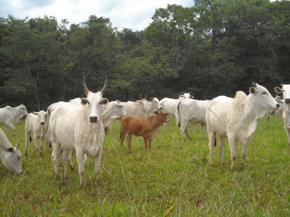 Beauty is always near!