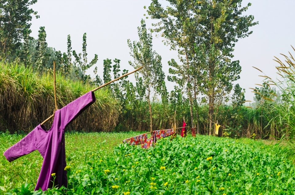 An interesting and tranditional way of scaring the birds away from the crops. Farmers put the cloths on the peice of wood and keep in the land area. 
