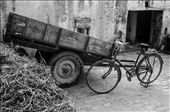 The simplicity of life in villages. the mostly used mode of transportation is a bycycle or other called 'boogii'. A world free of pollution.: by rashmi, Views[306]