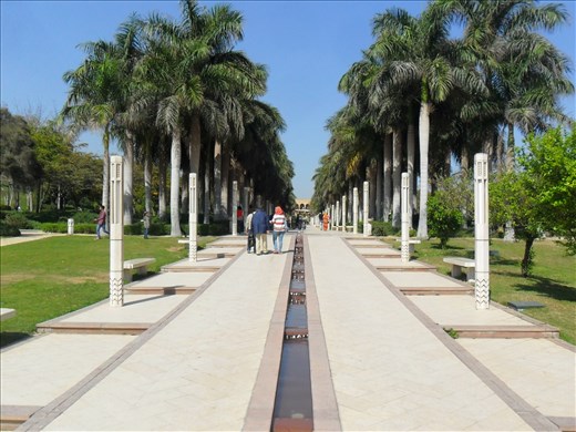 Going inside the green adventure