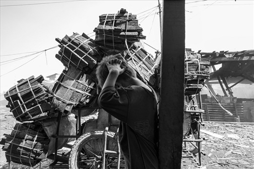 A boy scratches his head amidst a backdrop of baked wood ready to be brought to the market where it will be sold off in smaller blocks of charcoal.