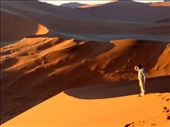 The  red Dunes of Sossusvlei are a touristic hotspot of Namibia, every dawn and sunset, dozens of tourists arrive to climb a dune and admire the shades formed by the sun rays.  Not so many places in the world can offer such spectacle.: by raulrolonphotography, Views[318]