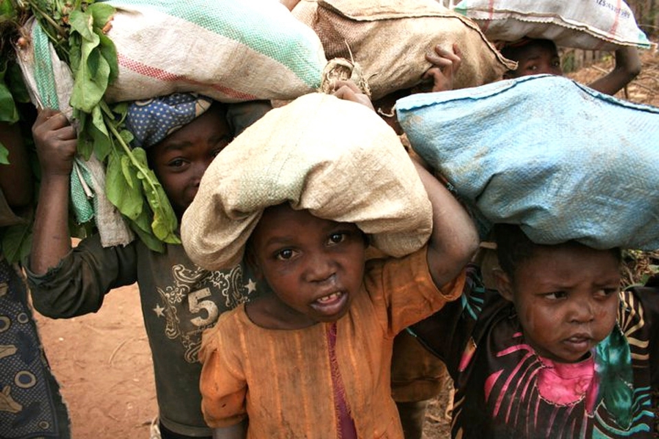 Hard at work:
​​
Do you put your camera down and help? Then you realise you can't help them all. Then you feel guilty for taking a photo. Then you think 'but this is life here'. Then you just have to accept it and keep moving on.