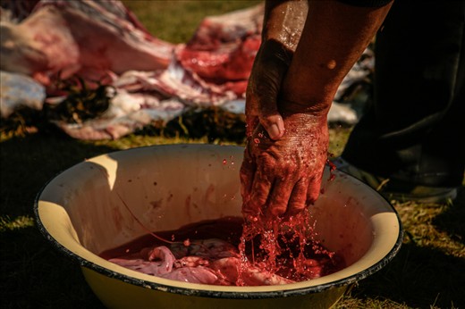 The killing of the sheep takes us abruptly by surprise. Nothing really personal with it, but the corpse of the animal without the head is the treasure of the local polo. I know that you are not supposed to be a vegetarian around here, still, I do feel slightly sorry for the sheep in this life. 
