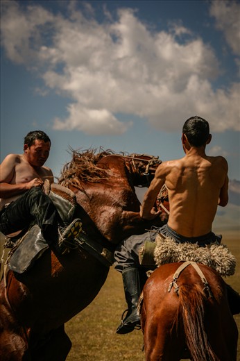 After several touch-bases of the beheaded sheep, another game with no introduction starts taking place. It's a pure fight this time, declared. Still on the horse. It's massive and powerful. The animals get squeezed between the opponents trying to unsaddle each other with bare hands. But the result is an even score: one to one and still nobody on the ground. 