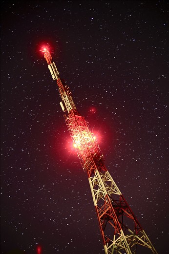 1: These things in nature. It's ugly, isn’t it?