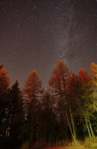 4: It's autumn and there is some nature too!