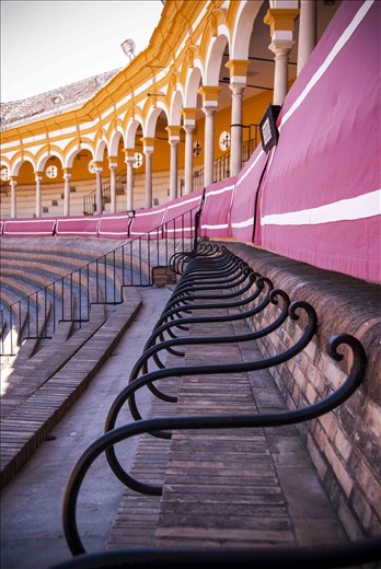 I'll choose the best one