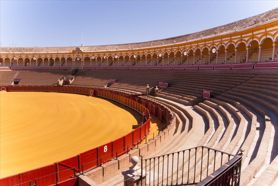 woooow: what a wonderful world!