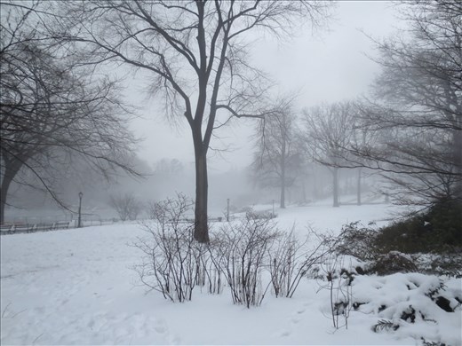 Central Park, after a blizzard