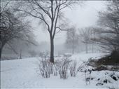 Central Park, after a blizzard: by reannonelizabeth, Views[161]