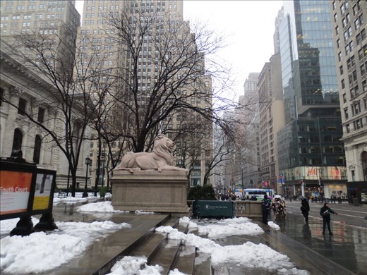 New York Public Library