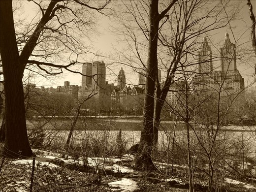 Central Park, with the view of Manhattan in the background