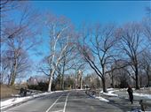 Central Park, with the ice melting: by reannonelizabeth, Views[199]
