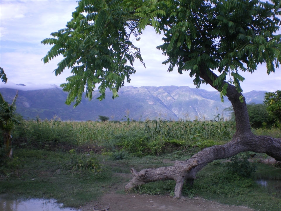 Even though I loved helping after the Earthquake; this is the Haiti I want to remember; the beautiful nature side.