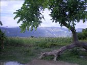 Even though I loved helping after the Earthquake; this is the Haiti I want to remember; the beautiful nature side.: by rebecca_jones488, Views[194]