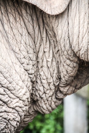 Way beyond the help of wrinkle cream